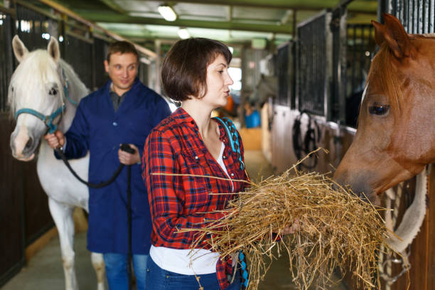 istock Worker spreading armfuls of hay at  stable 1089680226