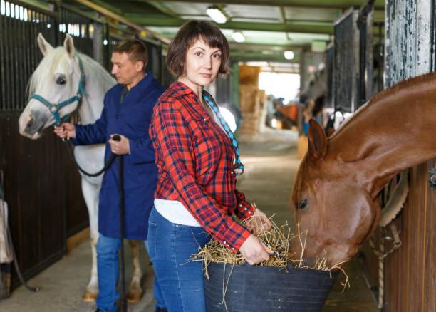istock Worker spreading armfuls of hay at  stable 1089680244