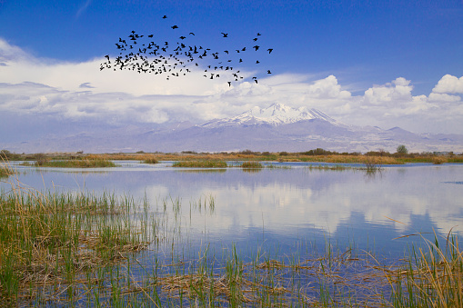 Volcanic mountain Erciyes and Kayseri farmland