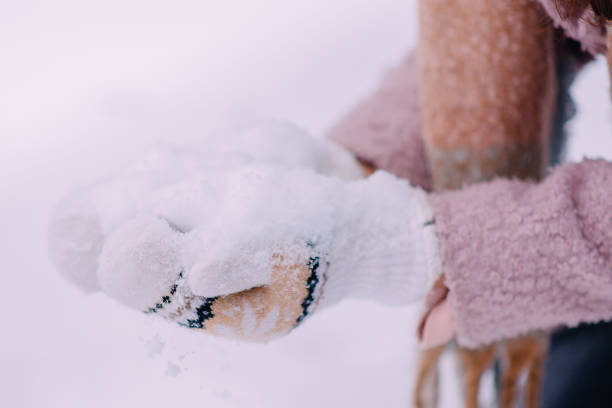istock women's hands in mittens make snowballs, close-up 1089688584