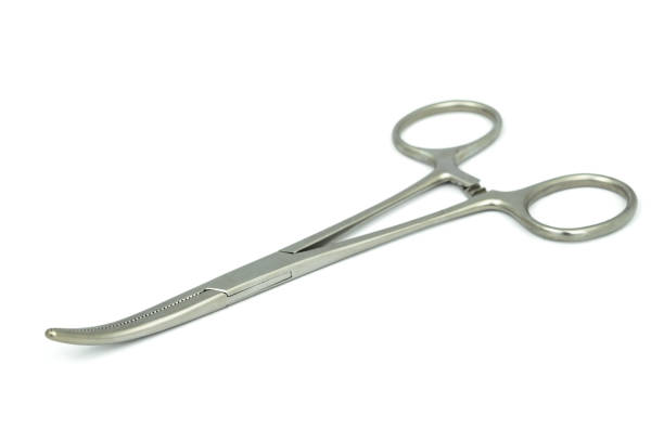 istock Medical tool, The curved artery forceps on the white background 1089695716