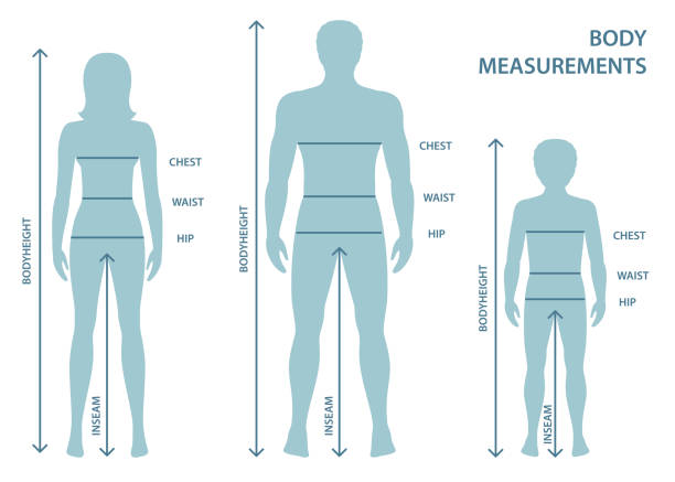Silhouttes of man, women and boy in full length with measurement lines of body parameters. Silhouttes of man, women and boy in full length with measurement lines of body parameters . Man, women and child sizes measurements. Human body measurements and proportions. chest torso stock illustrations