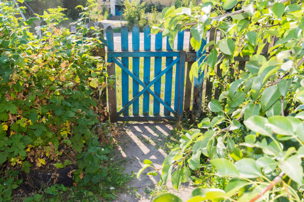 Wooden gate in the garden in summer