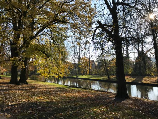 istock Minnewaterpark Bruges 1089706002