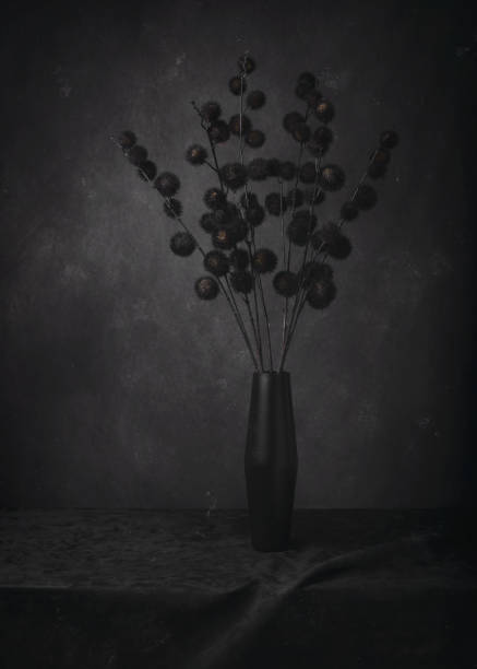 Classic black pom poms studio photography