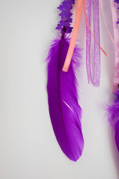 istock Violet dreamcatcher feather isolated in white 1089712906