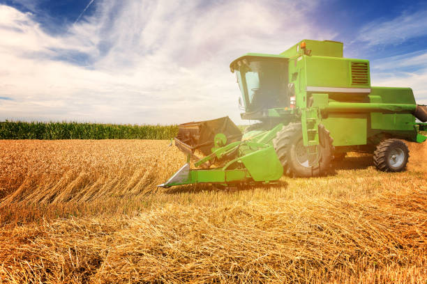 istock Harvesting wheat harvester on a sunny summer day 1089722542