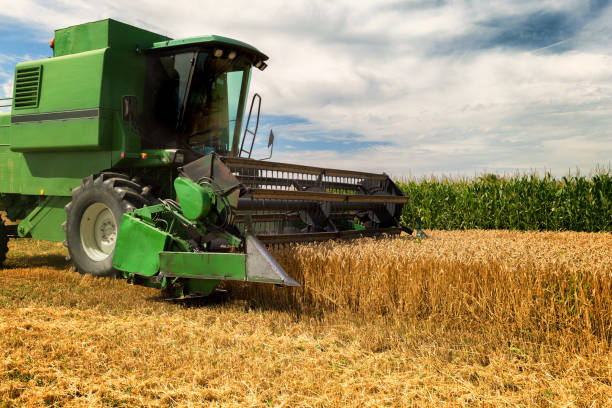 istock Harvesting wheat harvester on a sunny summer day 1089722614