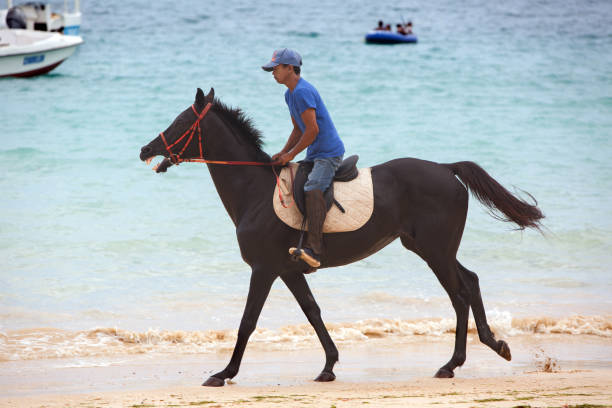 Two saddled horses enjoying a stunning sunset on the beach, standing peacefully against the backdrop of shimmering ocean waves