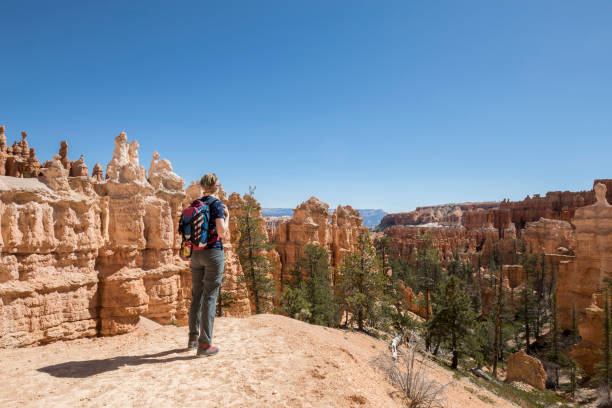 istock Overlooking rock hoodoos at Bryce Canyon, Utah. 1089727584