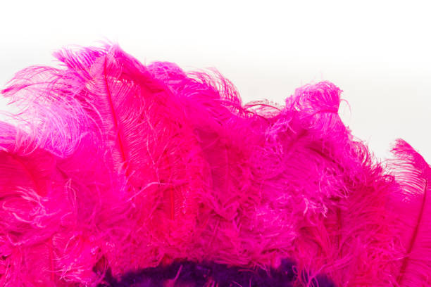 istock back feathers and embroidery of carnival 1089727920