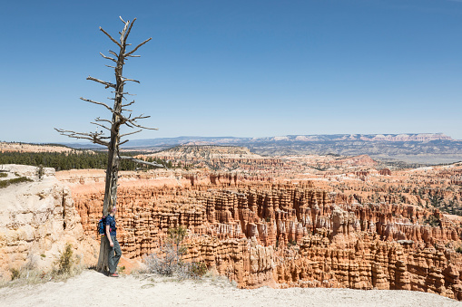 A lonely woman hikng the Rim Trail is overlooking rock formations at Bryce Canyon which is an American national park located in southwestern Utah. The major feature of the park is Bryce Canyon, which despite its name, is not a canyon, but a collection of giant natural amphitheaters along the eastern side of the Paunsaugunt Plateau. Bryce is distinctive due to geological structures called hoodoos, formed by frost weathering and stream erosion of the river and lake bed sedimentary rocks. The red, orange, and white colors of the rocks provide spectacular views for park visitors.\nCanon EOS 5D Mark IV, 1/125, f/20, 31 mm.