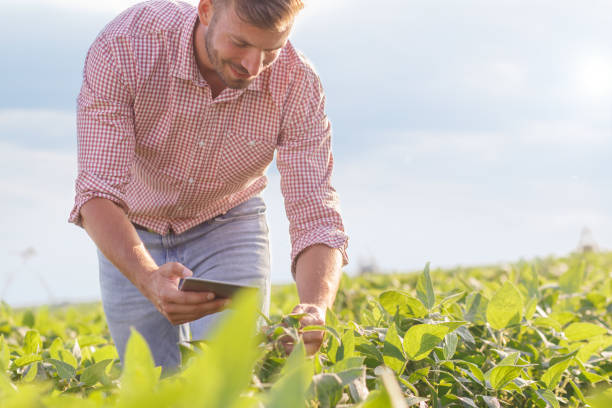 istock Young farmer standing in filed. 1089728736