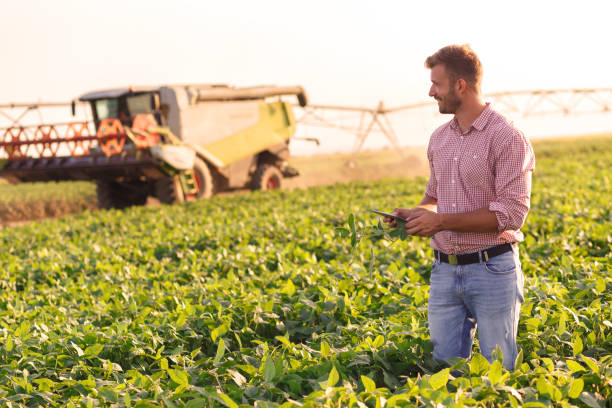 istock Young farmer standing in filed. 1089728862