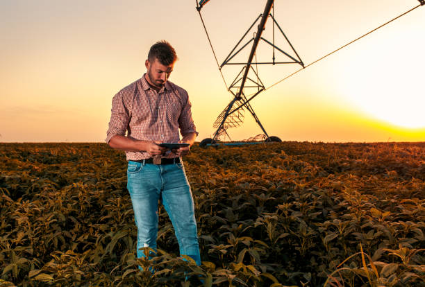 istock Young farmer standing in filed. 1089729148