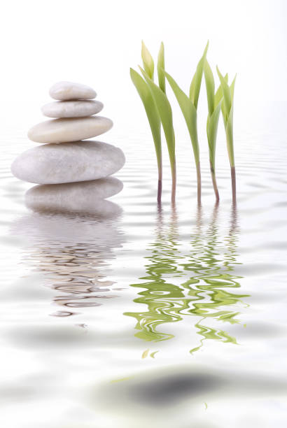 tower of white stones and leaf of lily of the valley are reflected in the water