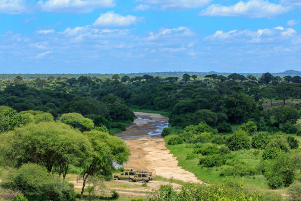 Landscape with a waterhole and some baboons in the Serengeti National park,Tanzania.