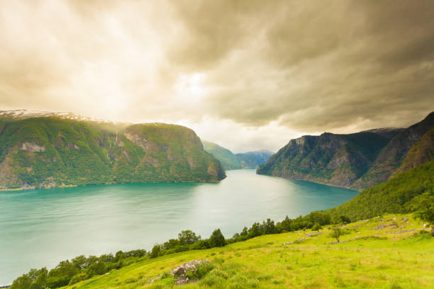 fjord aurland point point de vue, norvège - aurlandfjord photos et images de collection