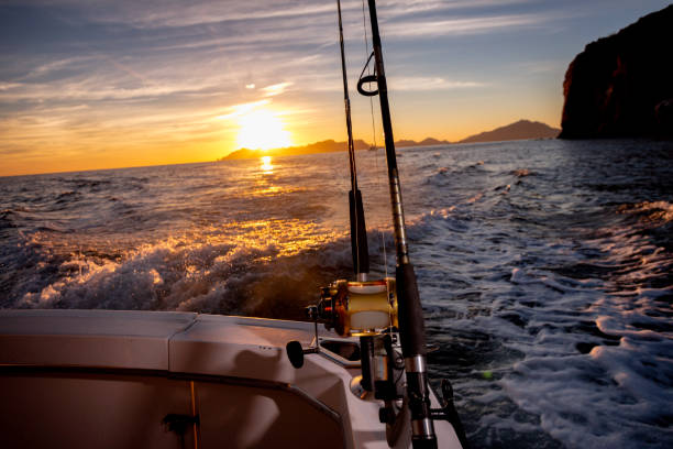 istock Ocean Fishing Reels Dawn or Dusk 1089752376