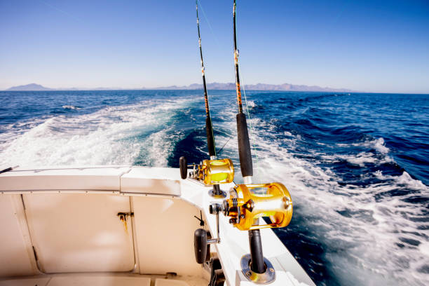 carretilhas de pesca de mar em um barco em um dia ensolarado - fishing fishing industry sea fish - fotografias e filmes do acervo