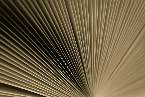 istock Macro view of book pages, as a background, vintage colored background. 1089758052