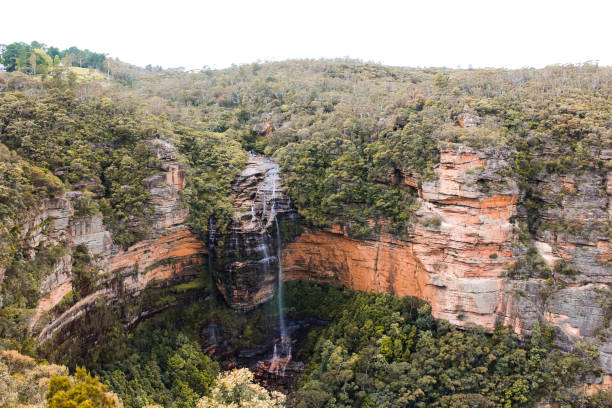 caídas de wentworth en las montañas azules, capturado desde el mirador de la roca de príncipes en wentworth falls, cerca de sydney (sydney, new south wales, australia) - blue mountains australia sydney australia new south wales fotografías e imágenes de stock