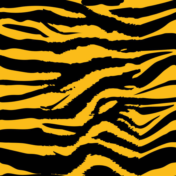 hintergrund-muster textur tiger orange streifen schwarzen dschungel-safari. tiger musterdesign. - exoticism animal africa cheetah stock-grafiken, -clipart, -cartoons und -symbole