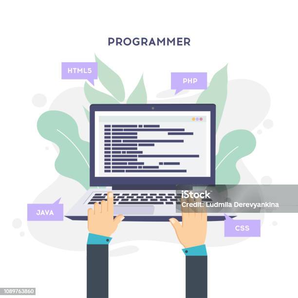 Workplace Of Programmer Or Coder Vector Illustration Programmer Coding ...