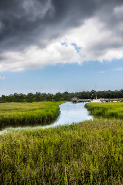 istock salt marsh at Shem Creek in Mount Pleasant South Carolina 1089766414