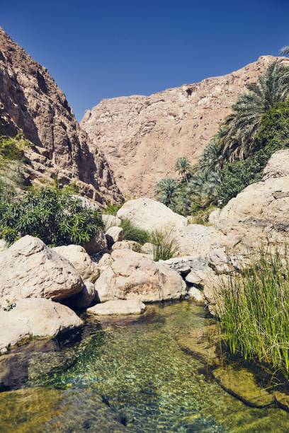 istock Landscape of Oman 1089770402