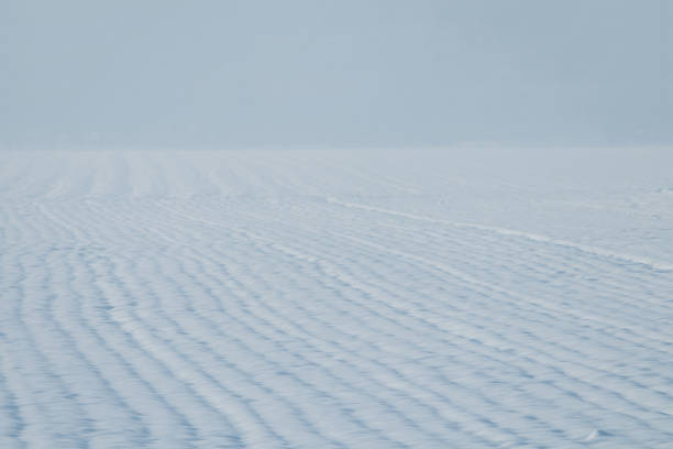 istock Grain field snow covered. Agriculture field under snow. 1089770686
