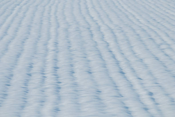 istock Grain field snow covered. Agriculture field under snow. 1089770956