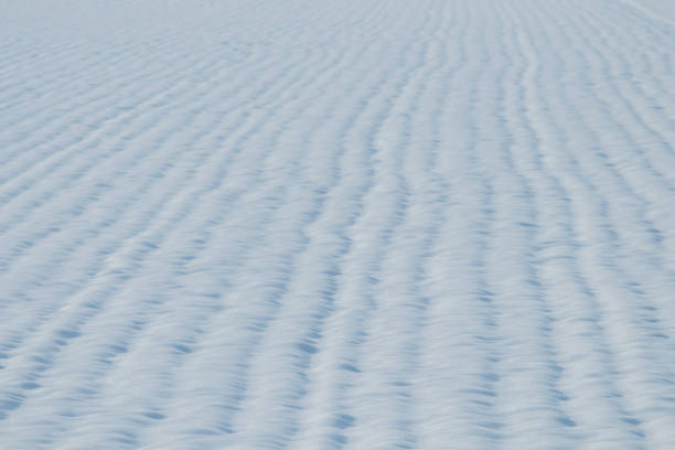 istock Grain field snow covered. Agriculture field under snow. 1089771310