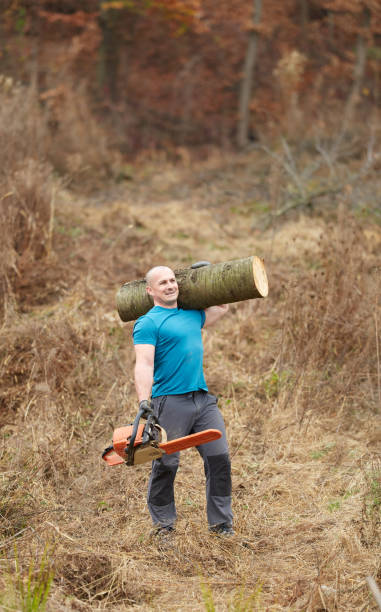 istock Strong lumberjack carrying log on shoulder 1089772564