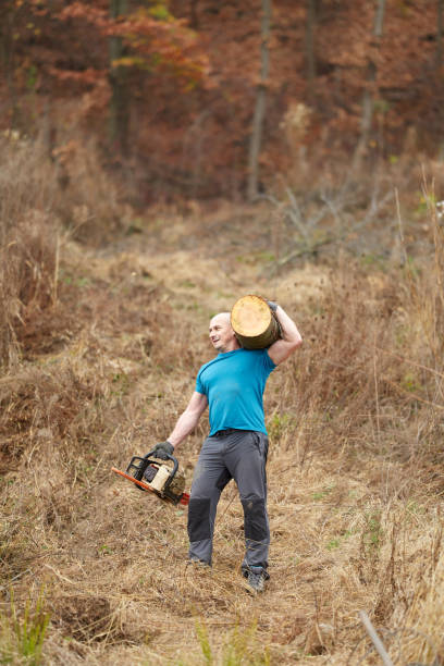 istock Strong lumberjack carrying log on shoulder 1089772566