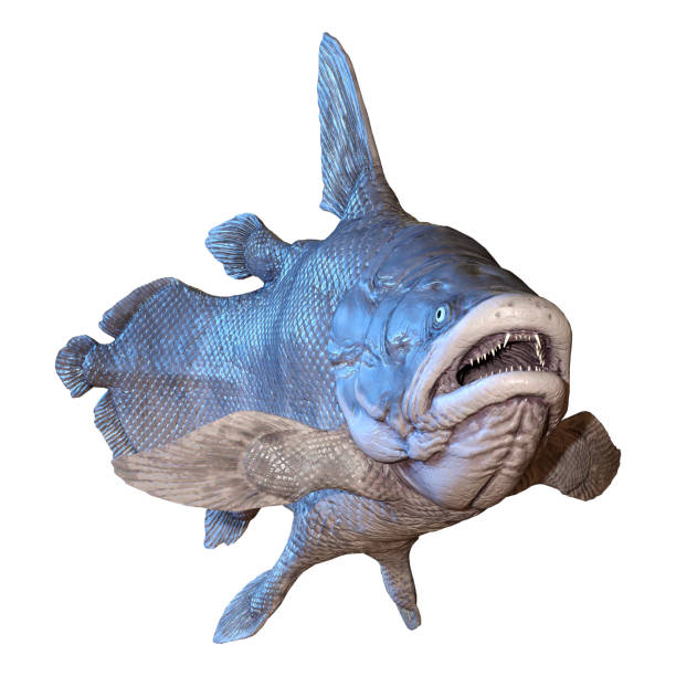 istock 3D illustration Mawsonia fish on white 1089773406