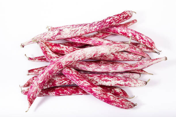 istock Colorful kidney bean isolated on white background. 1089775838