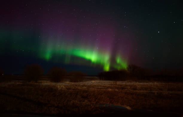 istock Northern Lights in the prairies 1089776786