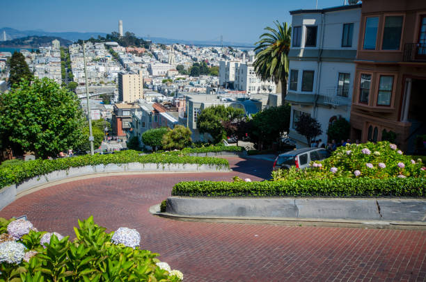 vue depuis le haut de la rue du lombard - san francisco county lombard street street house photos et images de collection