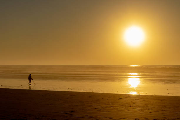 istock Searching for metallic treasure at low tide on the beach at sunset 1089782286