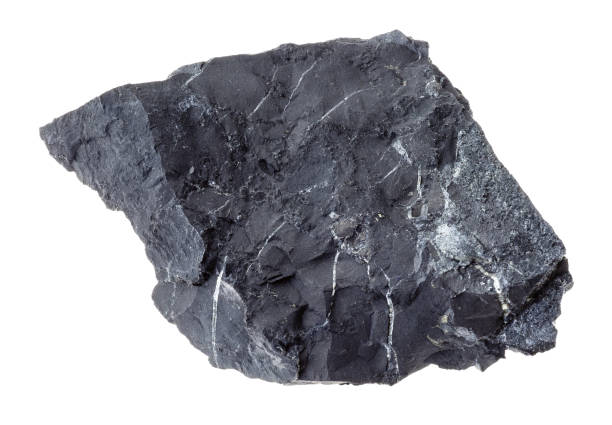 istock rough shungite shale stone on white 1089783912