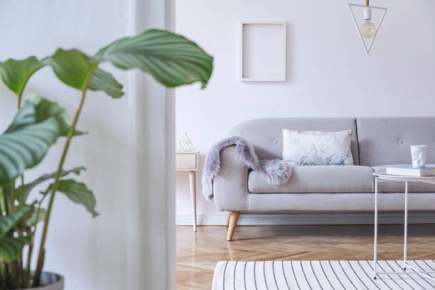 Stylish and cozy scandinavian white interior with design sofa, coffee table, pillow, blanket, big tropical plant and mock up photo frame. White walls and triangle lamp.