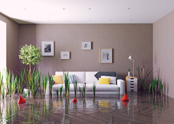 istock flooding living room. 1089786844