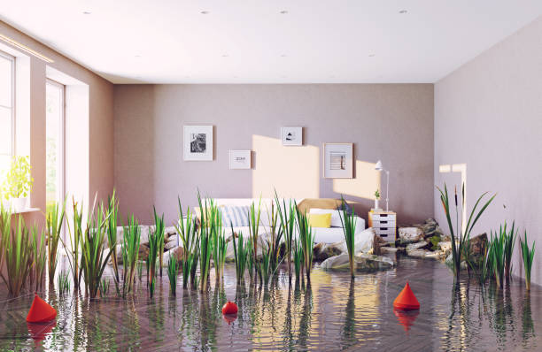 istock flooding living room. 1089786846