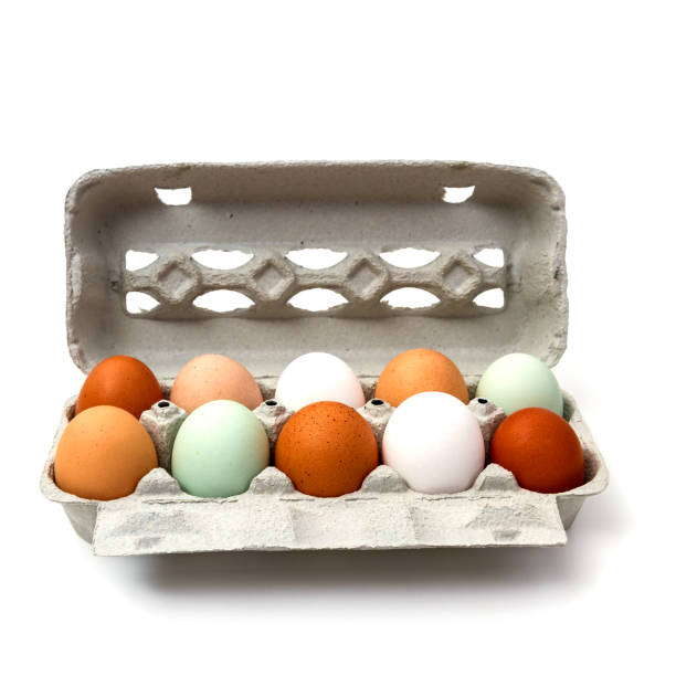 istock Ten colorful chicken eggs in carton box 1089787190