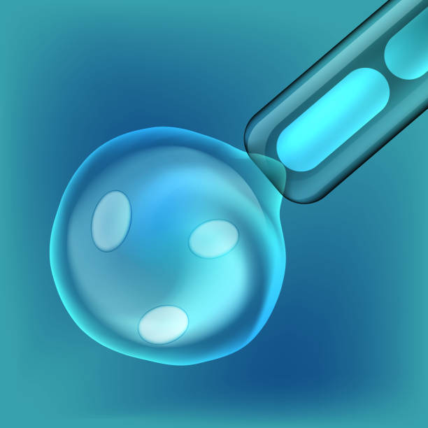istock In Vitro Fertilization image. Artificial insemination. Scientific medical illustration. 1089793260