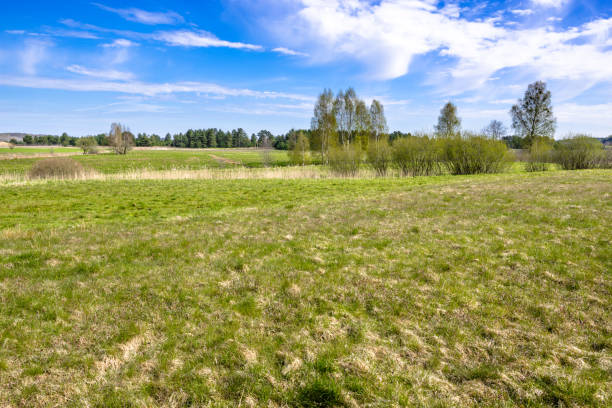 istock Pasture or grass field, green spring landscape and blue sky 1089797504