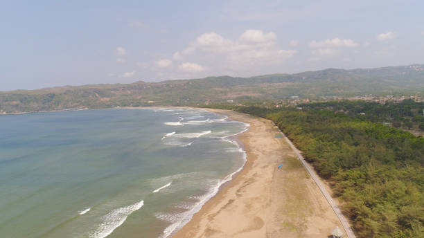 istock sandy beach in tropical resort 1089800340
