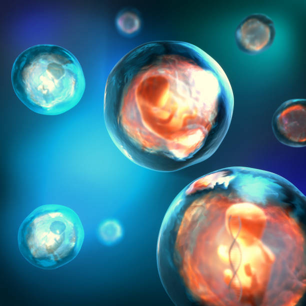 istock 3d illustration of an unborn genetically modified embryo trapped in a transparent bubble with a DNA strand 1089800358