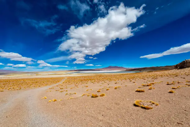 Landscape of Tara salar in Atacama region - Way in the middle of the mountains
